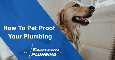 How to Pet Proof Your Plumbing