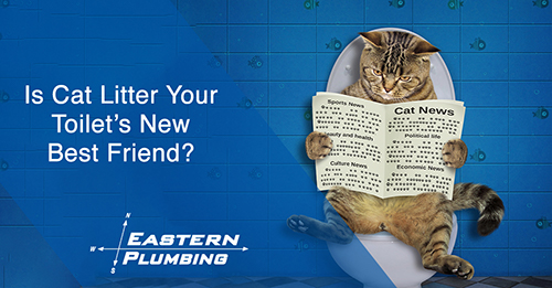 Is Cat Litter Your Toilet’s New Best Friend?