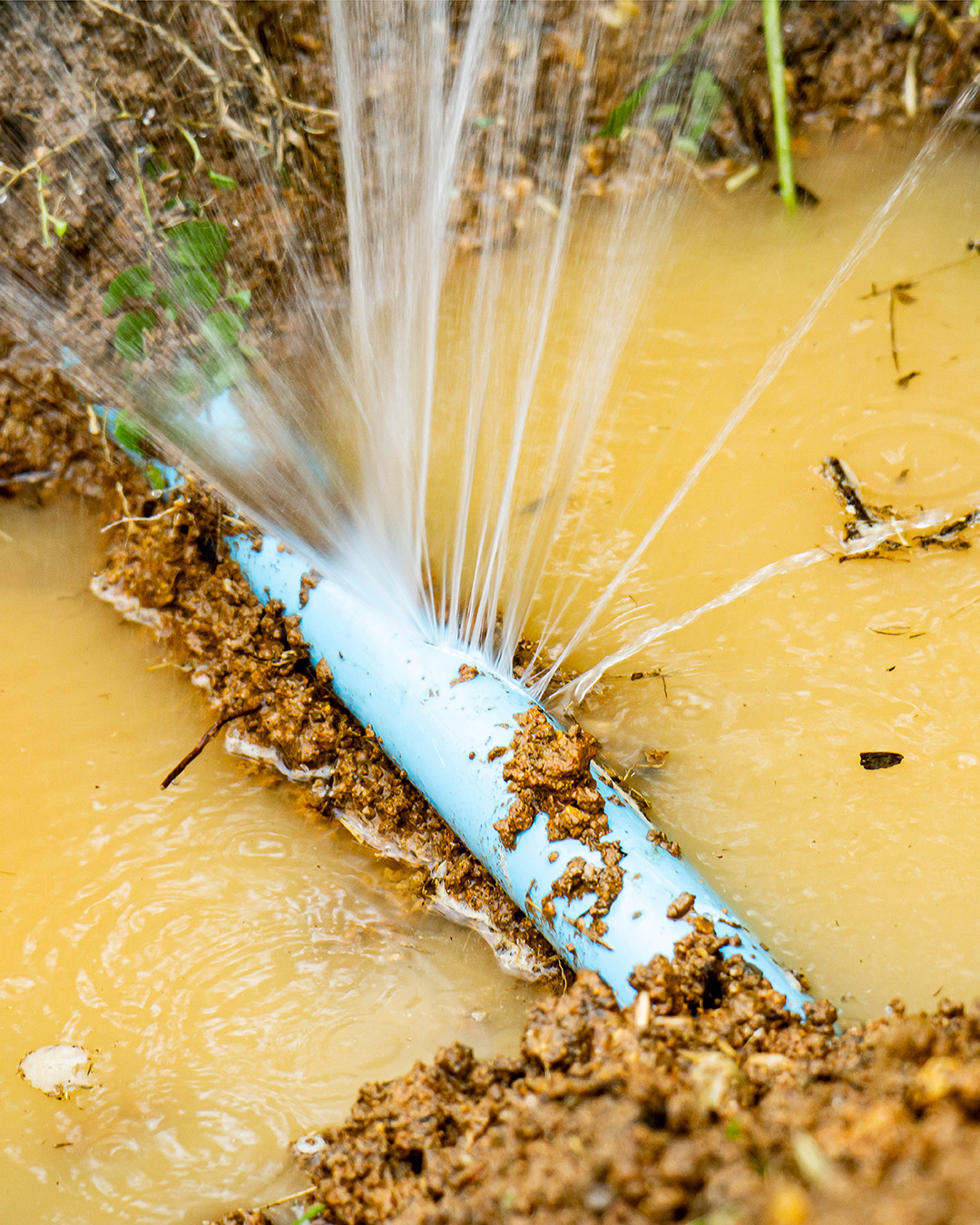 What to Do in a Plumbing Emergency: Stay Calm and Take Control