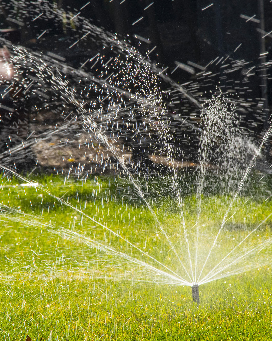 Spring Plumbing Tips: Things You Must Do to Prevent Costly Repairs