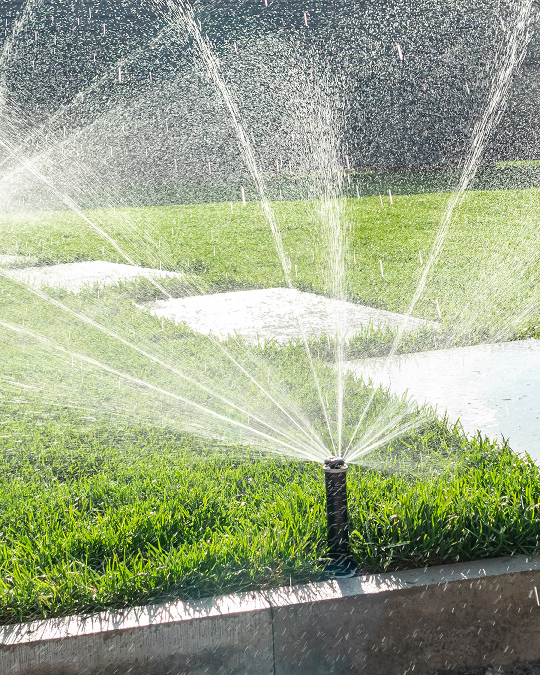 Tips to Save Water This Summer